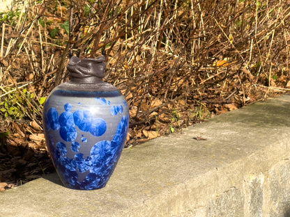 5 lessen reeks nov-dec vrijdag 9u30-12u30 beginners en (semi) gevorderden