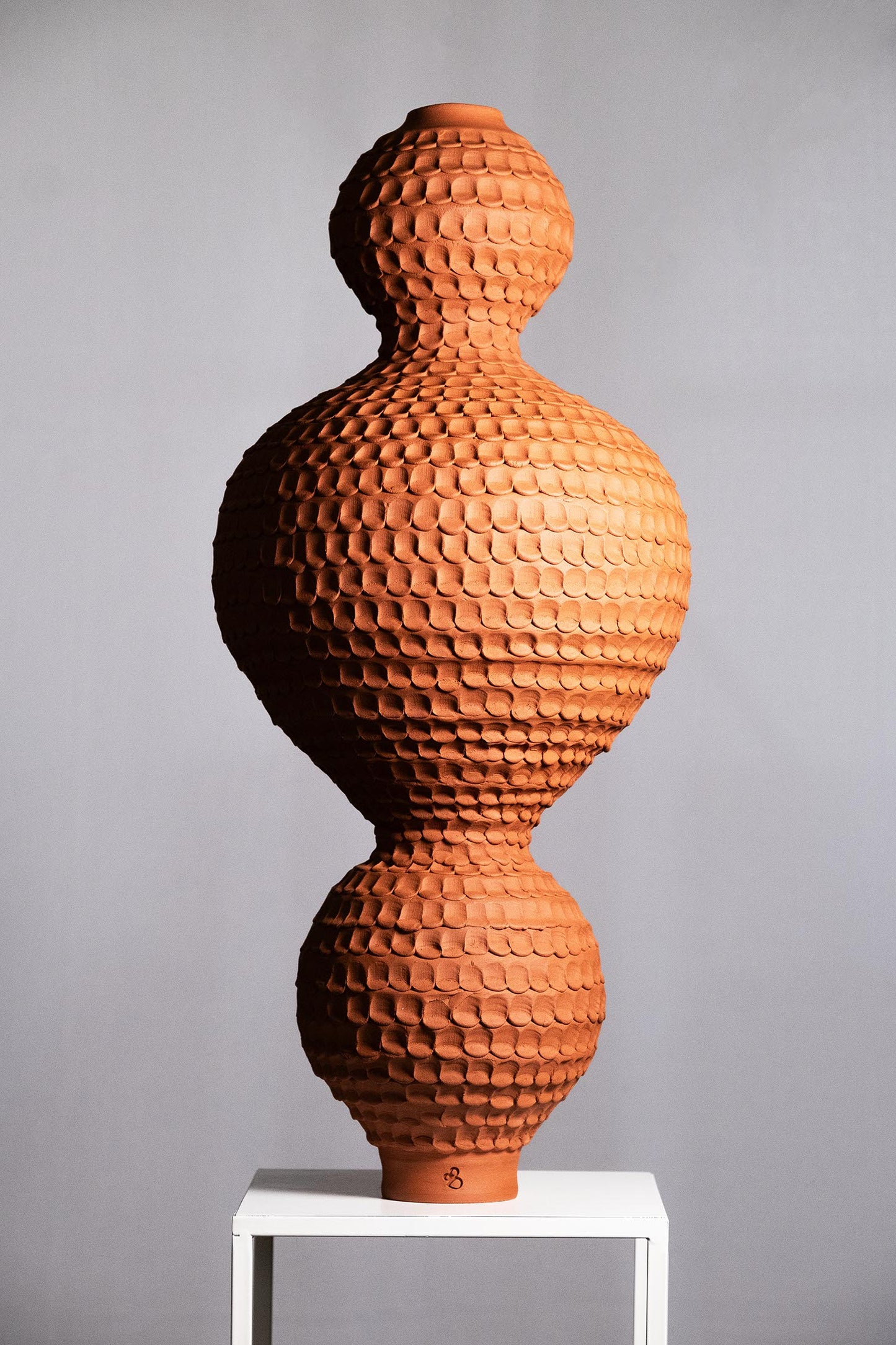 Dieter Telemans 'Grote vaas opbouwen met colombins op de draaischijf' 7-8 november 2026