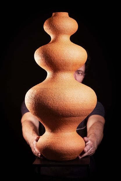 Dieter Telemans 'Grote vaas opbouwen met colombins op de draaischijf' 7-8 november 2026