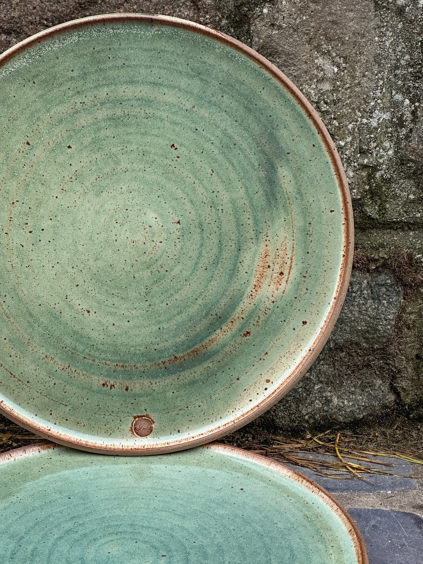 Groot bord - Dinner plate